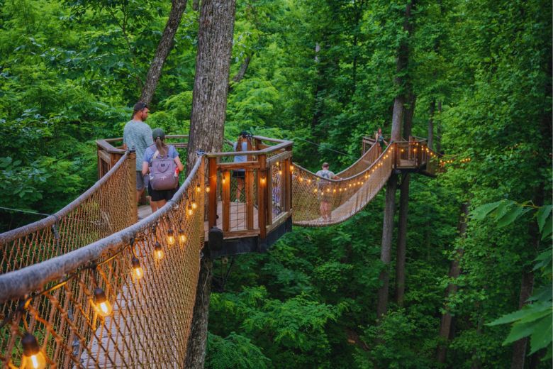 Family Day at Anakeesta – Top Things to See, Eat, and Do